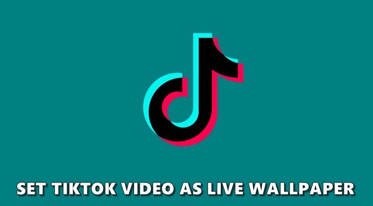 download all favorite tik tok videos